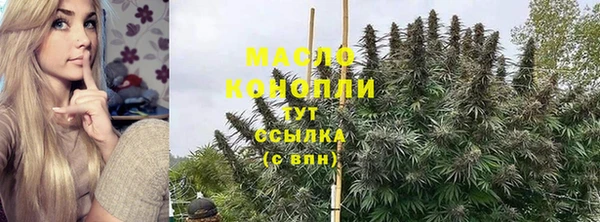 spice Богородицк