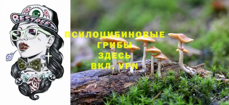 Псилоцибиновые грибы Cubensis  Электросталь 